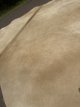 Koeienhuid beige 102
