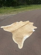Koeienhuid beige 102