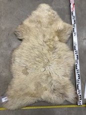Schapenvacht 26-12