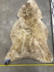 Schapenvacht 26-20