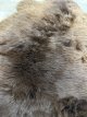 Schapenvacht 26-8